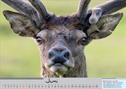 fotowetter Bildkalender 2025